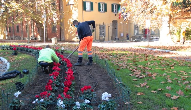 2020 11 18 fiori piazza martiri della liberta-santa caterina 07-min