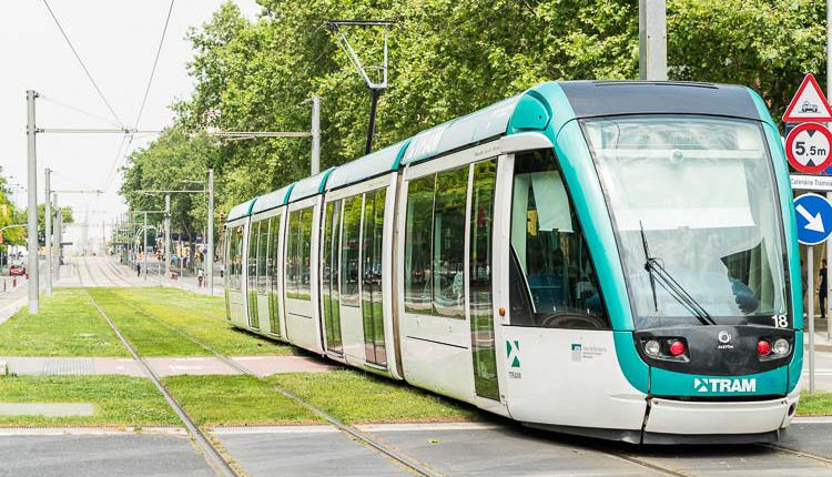 tram-pisa